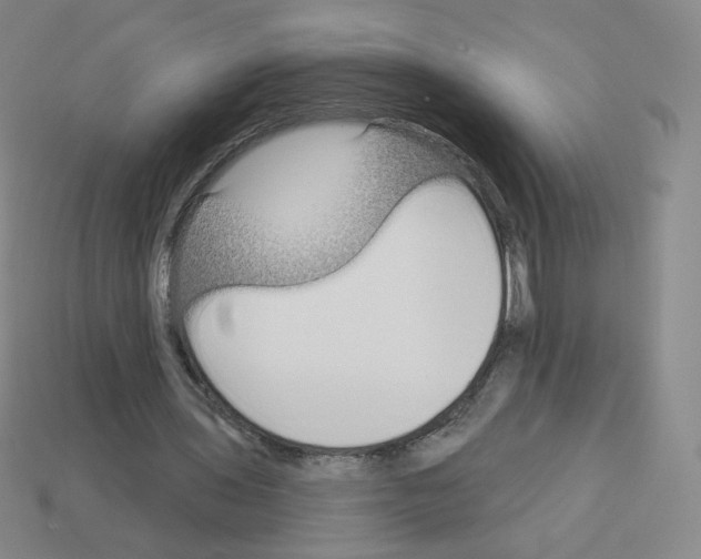 X0000112760435200910011219