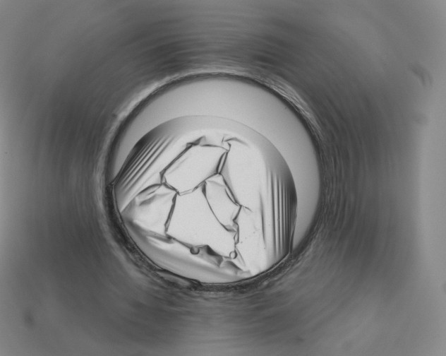 X0000112760436200910011219
