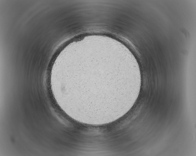 X0000112760439200910011219
