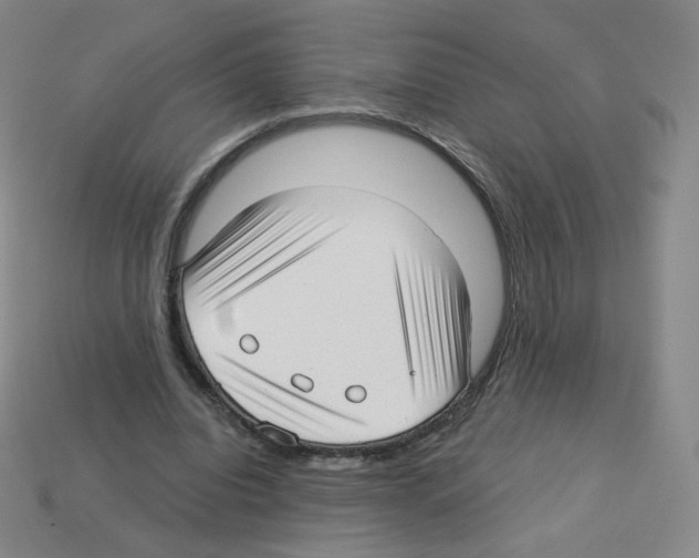X0000112760440200910011219
