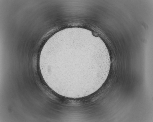 X0000112760442200910011219