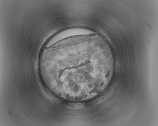 X0000112760443200910011219
