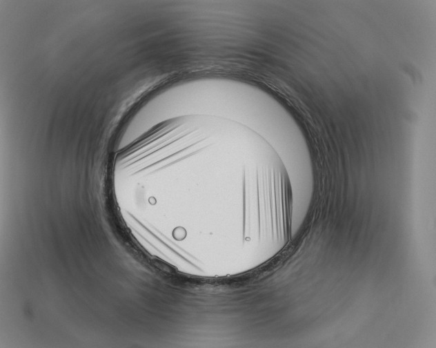 X0000112760444200910011219