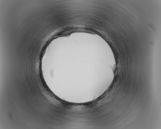 X0000112760446200910011219