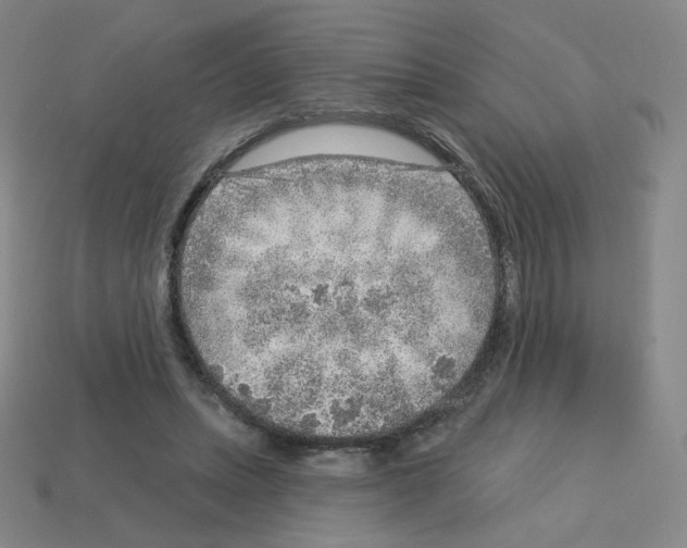 X0000112760447200910011219