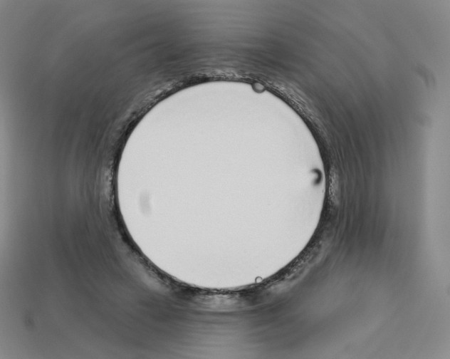 X0000112760449200910011219