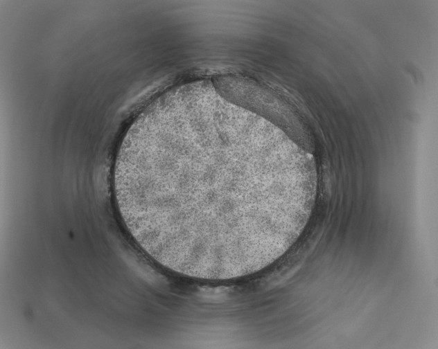 X0000112760450200910011219
