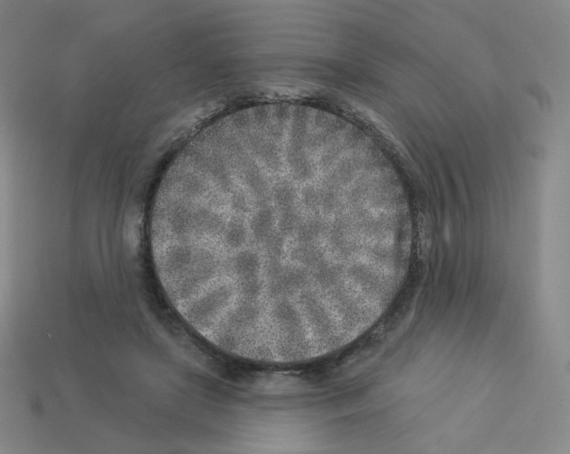 X0000112760451200910011219