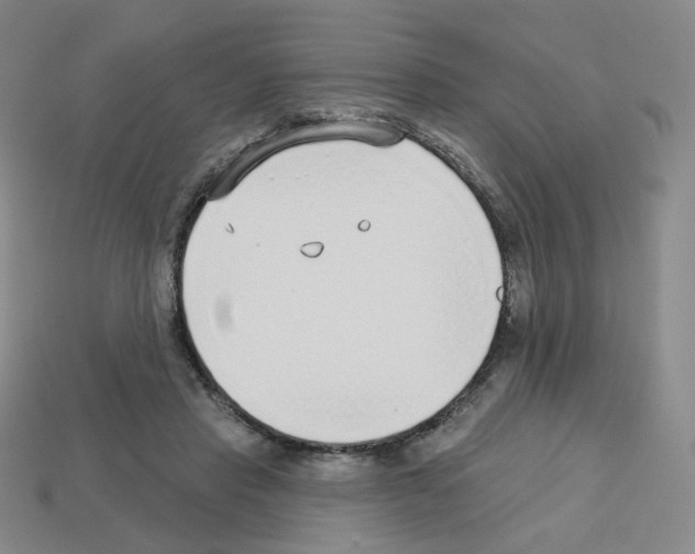 X0000112760453200910011219