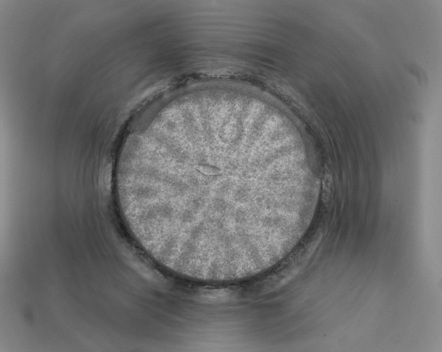 X0000112760454200910011219