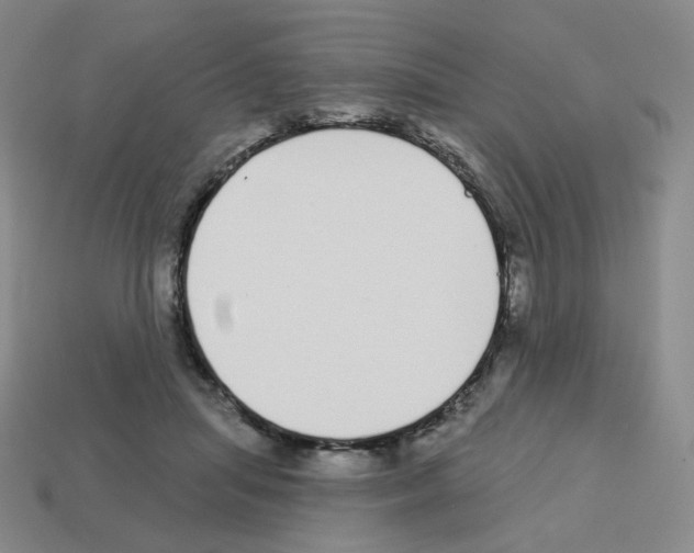 X0000112760455200910011219