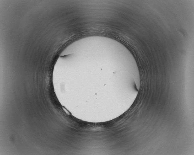 X0000112760456200910011219