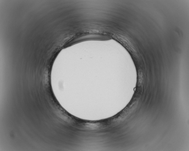 X0000112760457200910011219
