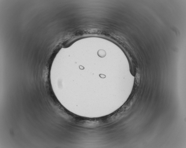 X0000112760458200910011219