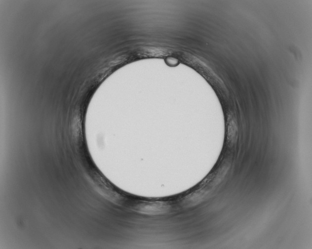 X0000112760459200910011219