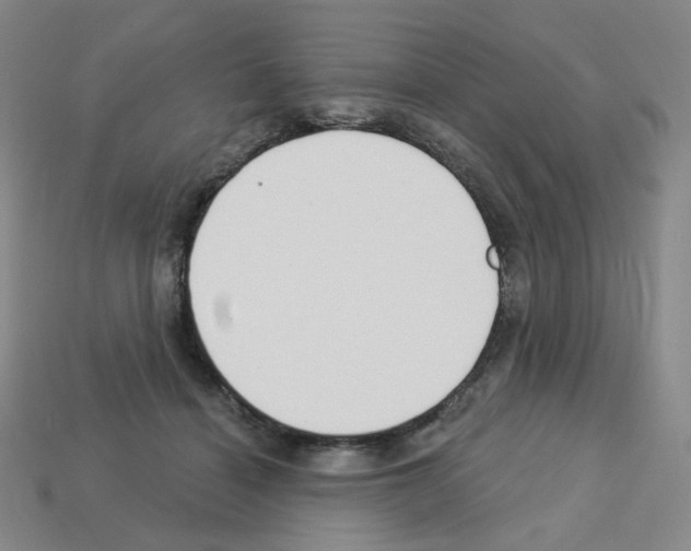 X0000112760460200910011219