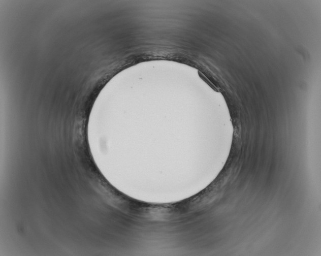 X0000112760462200910011219