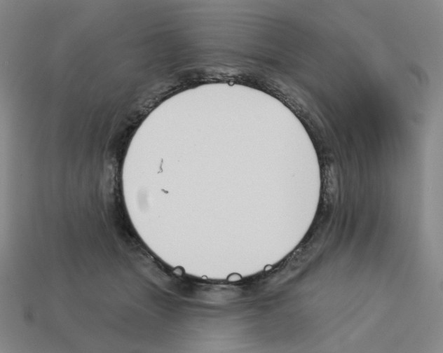 X0000112760463200910011219