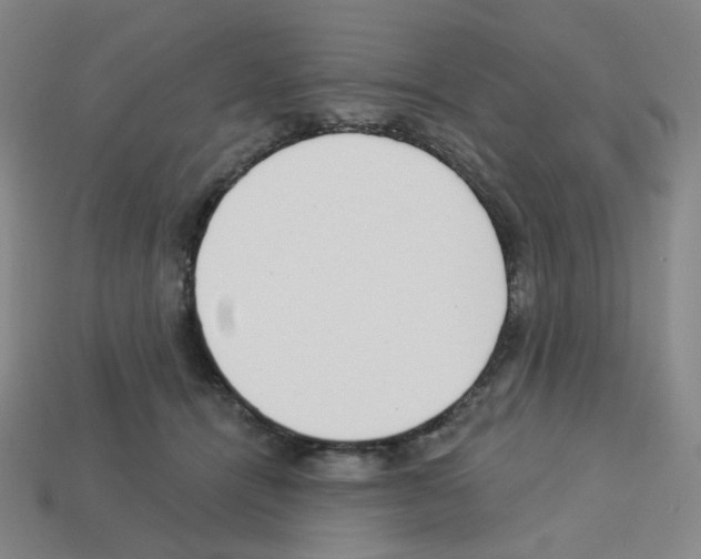 X0000112760464200910011219