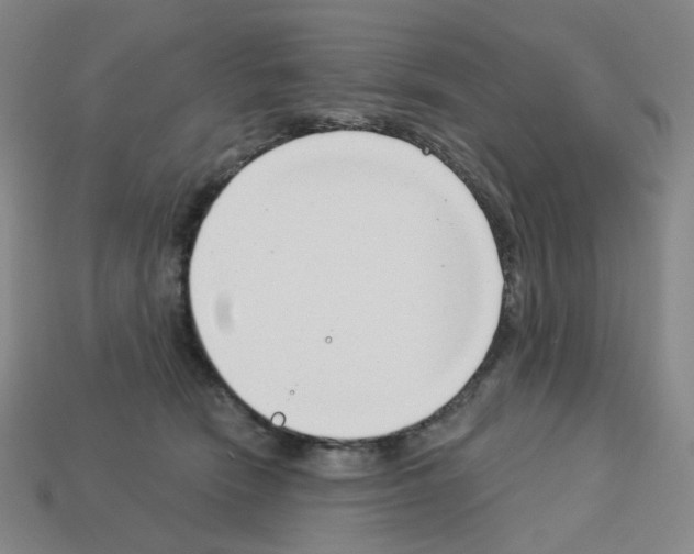 X0000112760466200910011219
