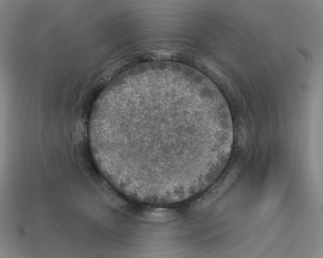 X0000112760467200910011219