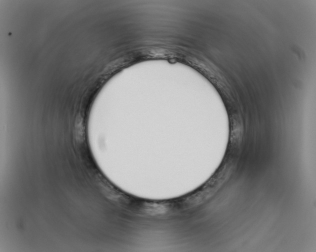 X0000112760469200910011219