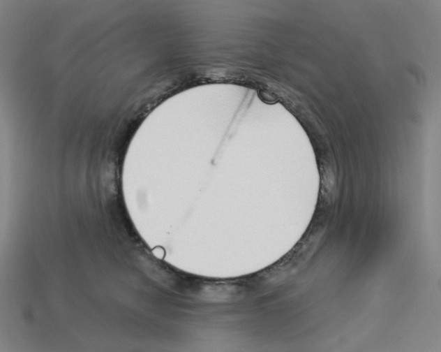 X0000112760470200910011219