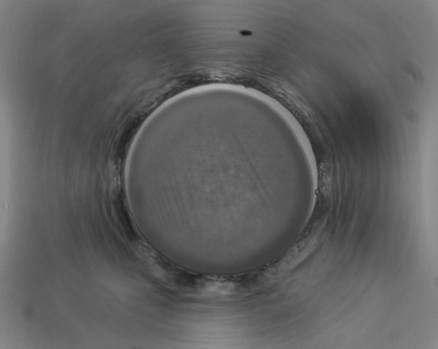 X0000112760471200910011219