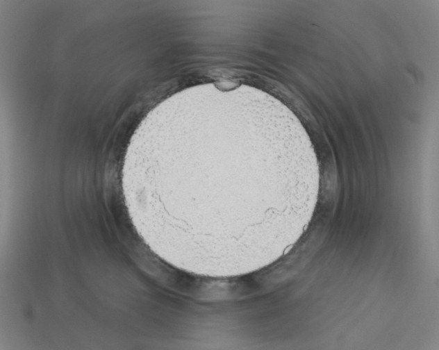 X0000112760473200910011219