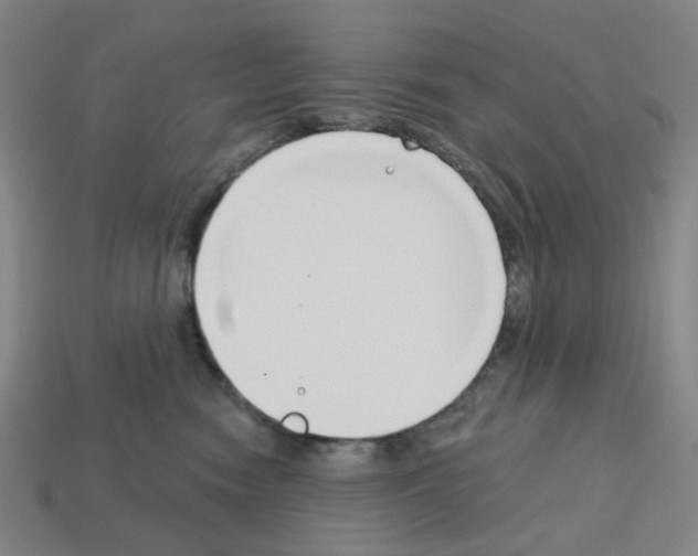 X0000112760474200910011219