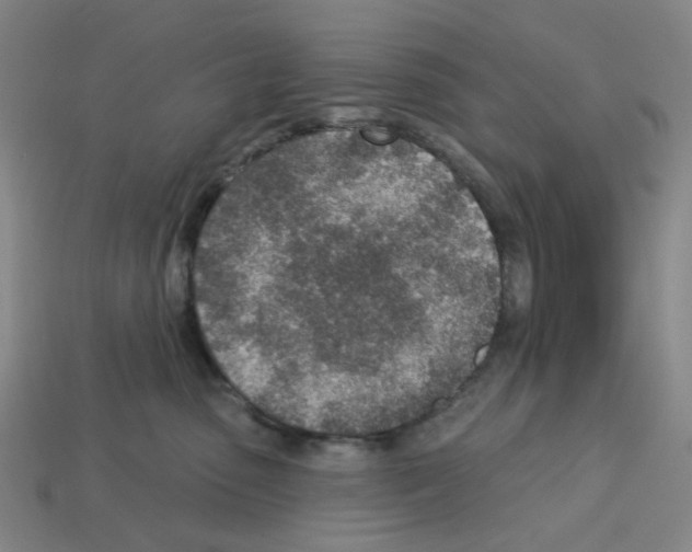 X0000112760475200910011219