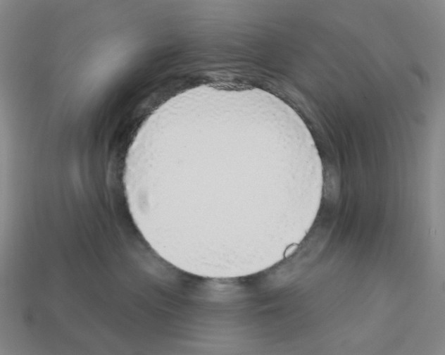 X0000112760477200910011219