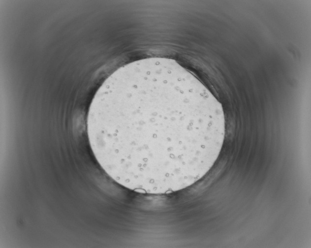 X0000112760478200910011219