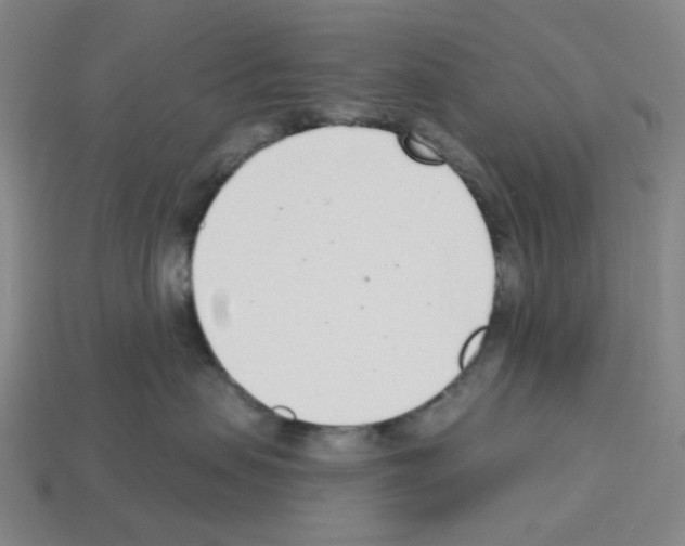 X0000112760479200910011219
