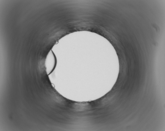 X0000112760480200910011219