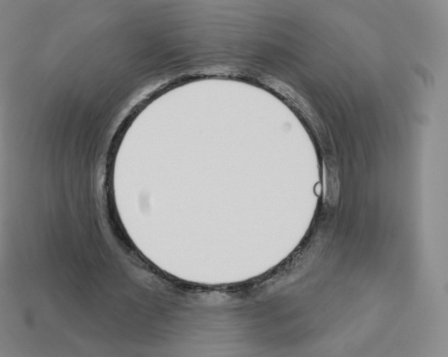 X0000112760483200910011219
