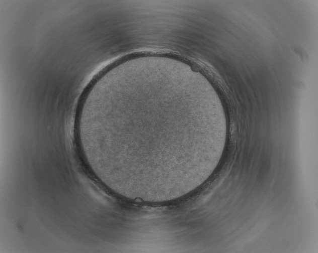X0000112760484200910011219