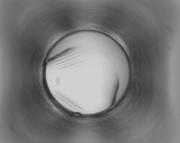 X0000112760485200910011219