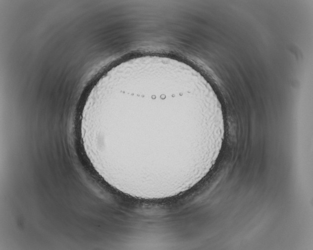 X0000112760487200910011219