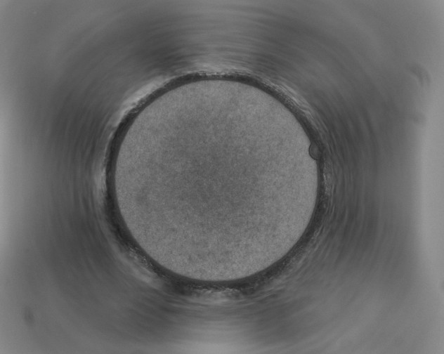 X0000112760488200910011219