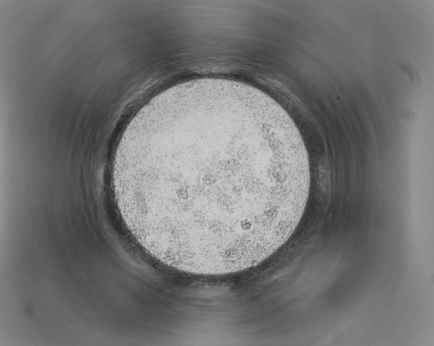 X0000112760491200910011219