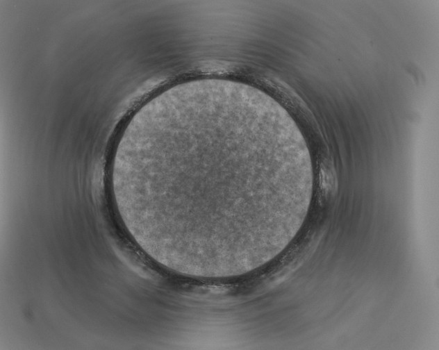 X0000112760492200910011219