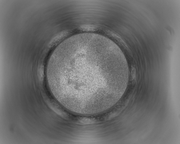 X0000112760494200910011219