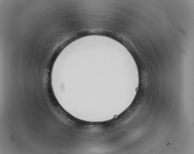 X0000112760495200910011219
