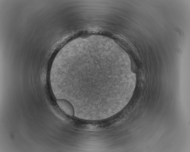 X0000112760496200910011219