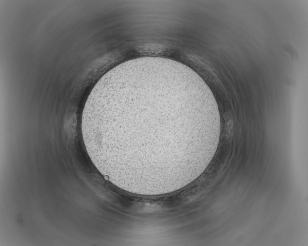 X0000112760498200910011218