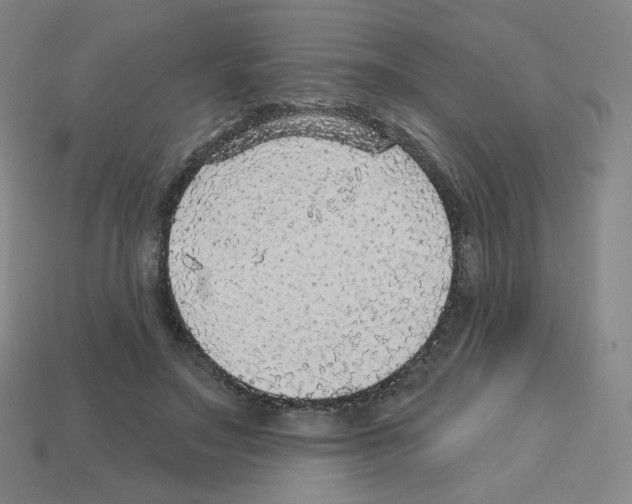 X0000112760499200910011218