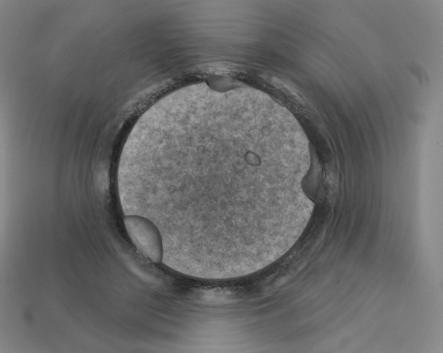 X0000112760500200910011218