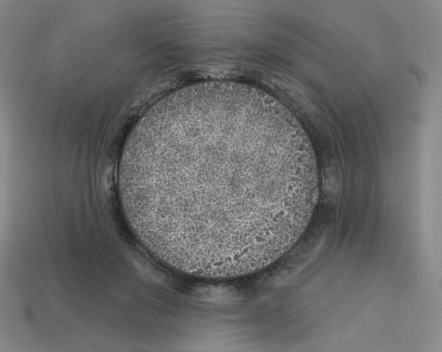X0000112760503200910011218