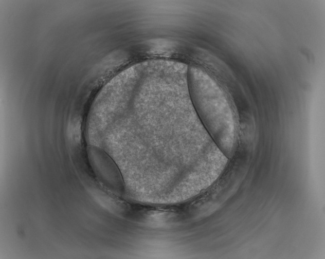X0000112760504200910011218